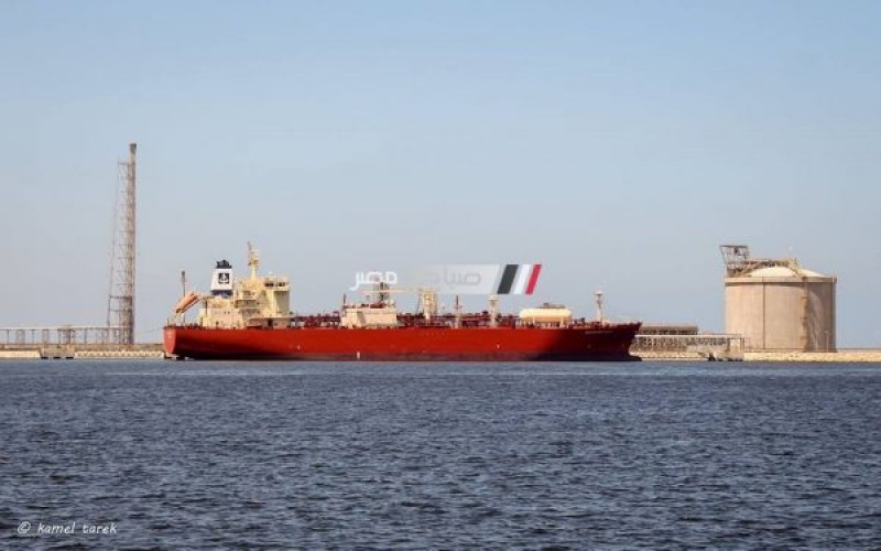 ميناء دمياط يستقبل 1987 طن خشب و2100 طن زيت