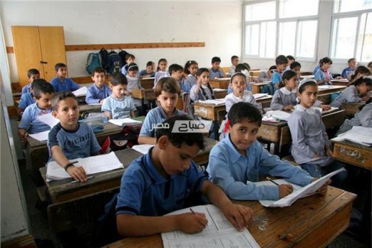 جداول امتحانات نصف العام للمرحلة الابتدائية بمحافظة قنا 2019