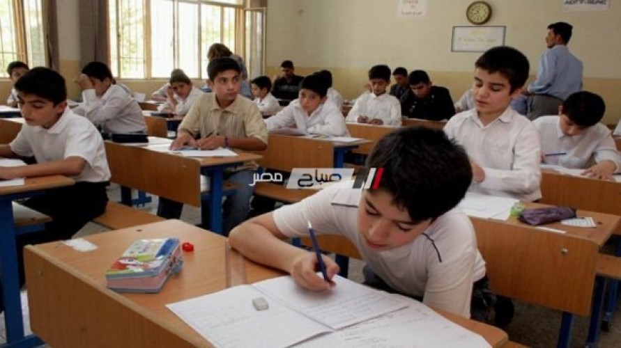 نتيجة الصف السادس الابتدائي 2019 محافظة البحيرة