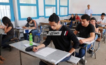 نتيجة الصف الرابع الابتدائي محافظة الدقهلية 2019 الترم الأول