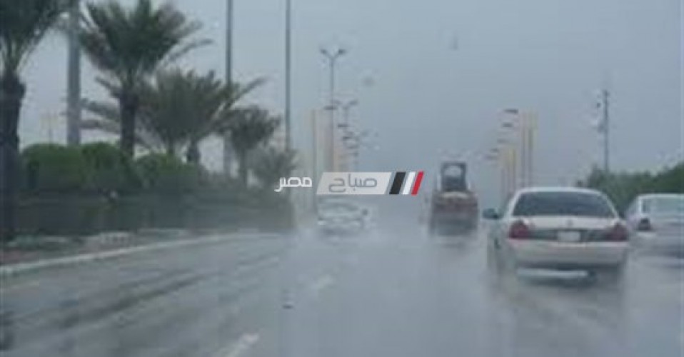 أمطار غزيرة بطريق مصر- الاسكندرية الزراعي والمرور يناشد السائقين بتوخي الحذر
