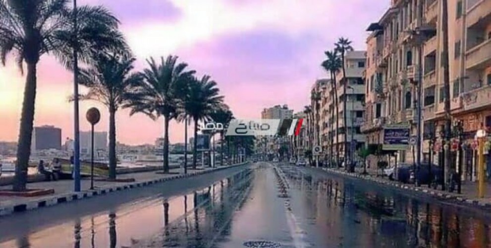 أمطار غزيرة ورعد فى الإسكندرية الآن.. الأرصاد ذروة النوة اليوم الخميس