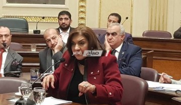 برلماني يلتقي بأهالى قرية التفتيش لبحث أزمة عمال محطة طلمبات السرو