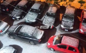 توضيح حقيقة صورة تساقط الثلوج في محافظة الإسكندرية