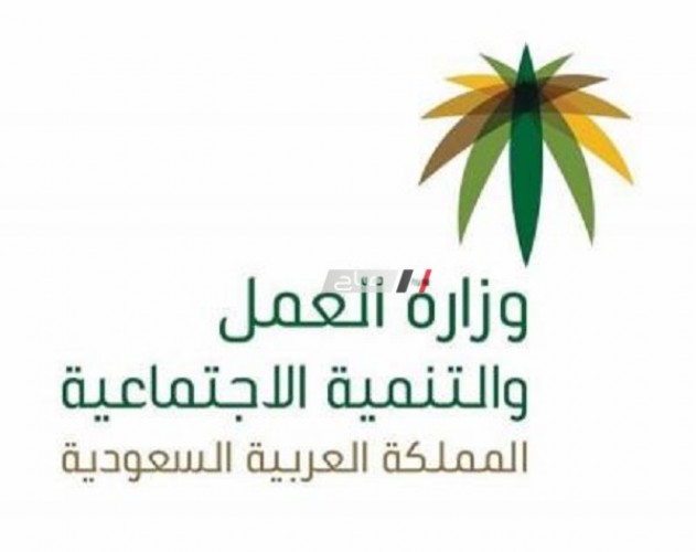 وزارة العمل بالسعودية.. تمديد صلاحية تأشيرات العمل لسنتين دون رسوم إضافية