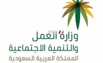 وزارة العمل بالسعودية.. تمديد صلاحية تأشيرات العمل لسنتين دون رسوم إضافية