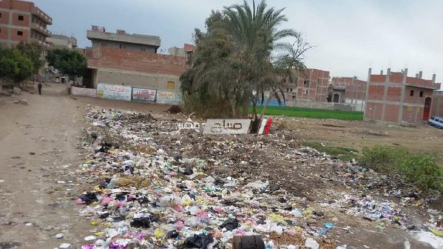 رئيس محلية دمنهور: متابعة حملات النظافة فى نطاق الوحدة المحلية بقرية زاوية غزال