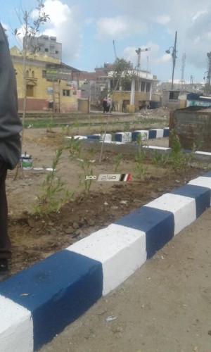 رئيس محلية كفر البطيخ: بدأنا في رفع كفاءة وتطوير شارع رفعت المحجوب (صور)