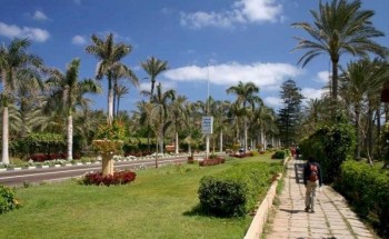 تطوير منطقة قصر المنتزه بالإسكندرية بمشاركة شباب الجامعات