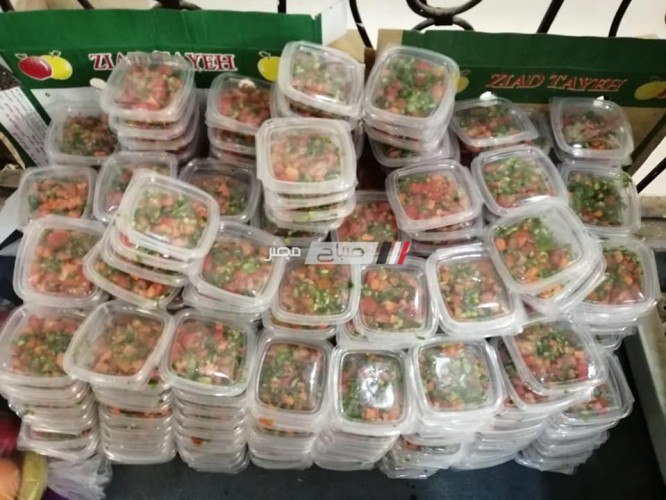 جمعية خير دمياط توزع 500 وجبة غذائية على المواطنين بقرى المحافظة
