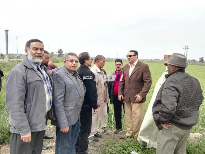 وكيل وزارة الزراعة بدمياط يشهد الدورة التنشيطية عن طرق مكافحة القوارض