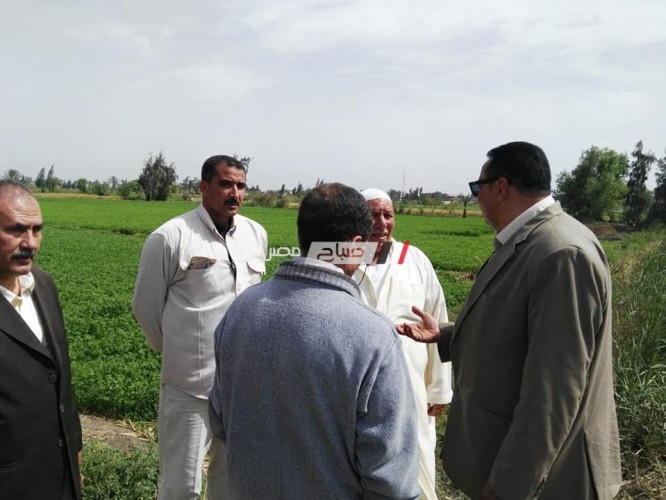 وكيل وزارة الزراعة بدمياط يتفقد مزارع كفر سعد و يشدد على خدمة الزراع