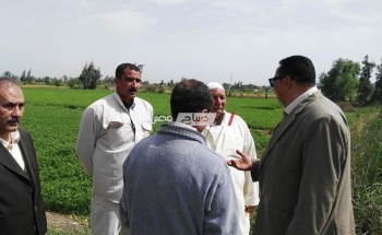 وكيل وزارة الزراعة بدمياط يتفقد مزارع كفر سعد و يشدد على خدمة الزراع