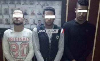 القبض على 3 أشخاص قاموا بسرقة مركبة “توك توك” بالقاهرة