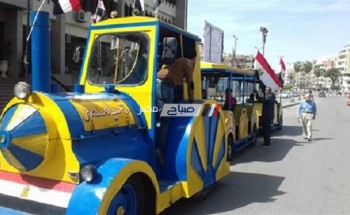 طفطف الانتخابات المجاني وسيلة أهالي الإسكندرية للجان الاستفتاء