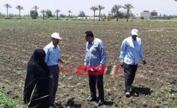وكيل الزراعة بدمياط يتفقد زراعات القطن بناحية التوفيقية مركز كفر سعد