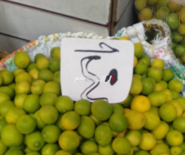 الكيلو بـ 40 جنية … بالصورة ارتفاع اسعار الليمون بدمياط يثير أزمة جديدة