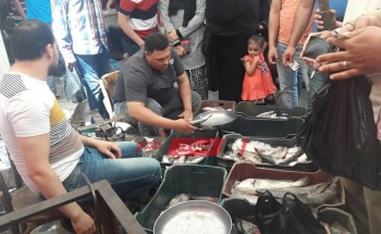 أسعار كل انواع الأسماك في محافظات مصر اليوم الجمعة 22-11-2019