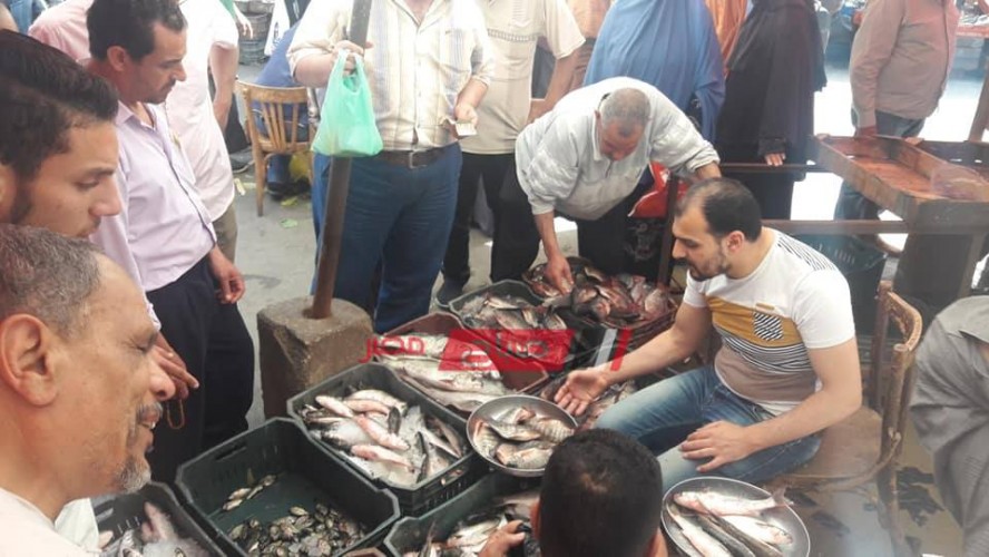 أسعار الأسماك بكافة أنواعها اليوم الإثنين 21-10-2019 في أسواق مصر