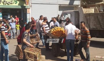 شن حملة مكبرة لازالة اشغالات الطريق العام بمدينة عزبة البرج