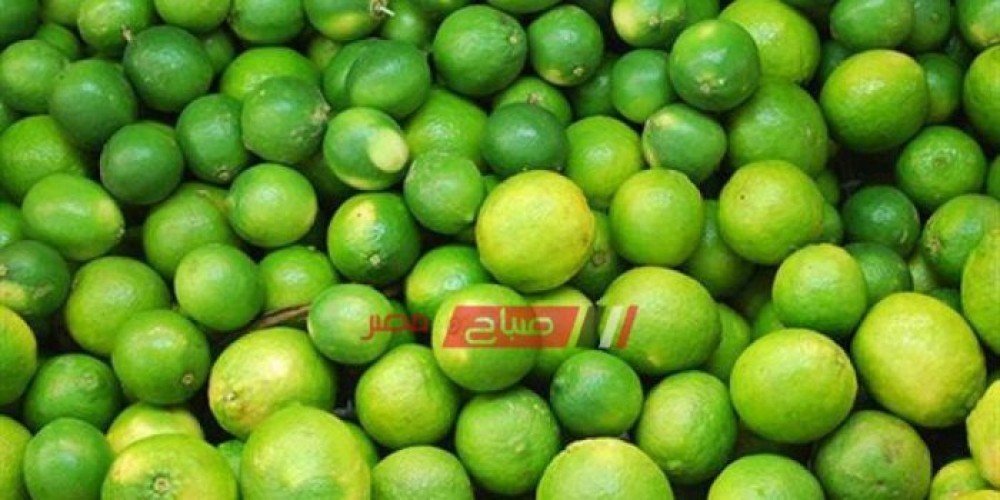 سعر كيلو الليمون 45 جنيها بفروع مجمعات الأهرام الاستهلاكية بالقاهرة والجيزة