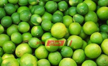 سعر كيلو الليمون 45 جنيها بفروع مجمعات الأهرام الاستهلاكية بالقاهرة والجيزة