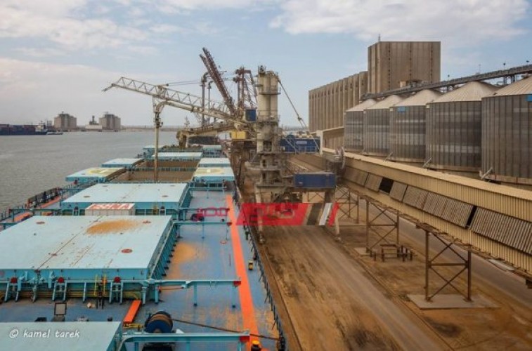 ميناء دمياط يستقبل 912 طن خشب و 17 ألف طن قمح