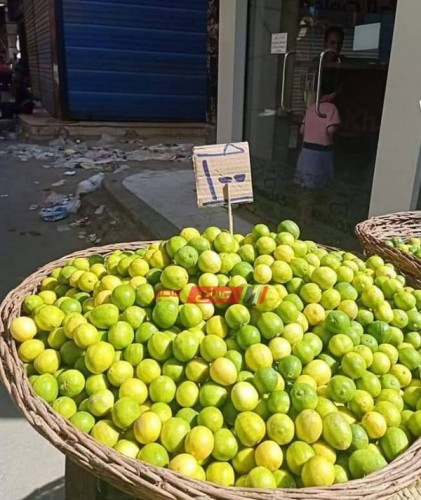 الليمون يصل لـ 100 جنية للكيلو بدمياط وسط غضب الاهالي وظهور حملات المقاطعة