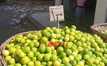 الليمون يصل لـ 100 جنية للكيلو بدمياط وسط غضب الاهالي وظهور حملات المقاطعة