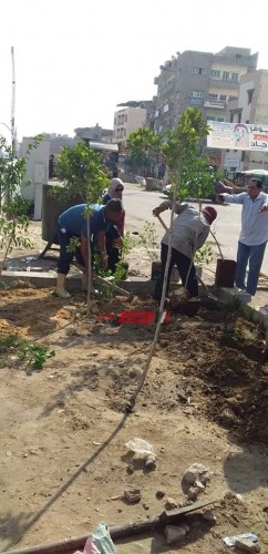 رئيس محلية كفر البطيخ: رفع كفاءة شارع رفعت المحجوب ودهان البلادورات وزراعة الاشجار