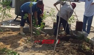 رئيس محلية كفر البطيخ: رفع كفاءة شارع رفعت المحجوب ودهان البلادورات وزراعة الاشجار