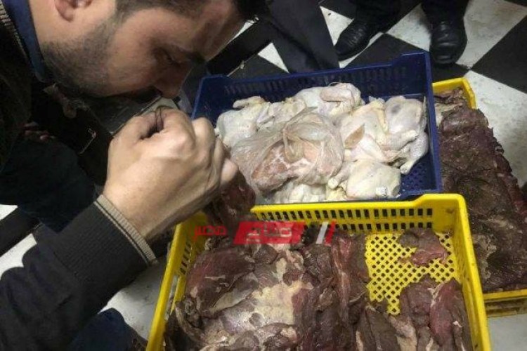 ضبط 229 كيلو لحوم وكبده وأسماك غير صالحة للإستهلاك الأدمي في دمياط