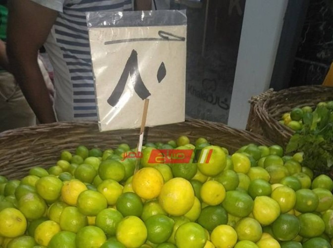 انخفاض سعر الليمون لـ80 جنيها والباعة.. الواحدة بـ5 جنيه بالإسكندرية