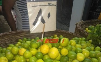 ارتفاع أسعار الليمون في دمياط ليصل إلى 80 جنيها للكيلو.. صورة