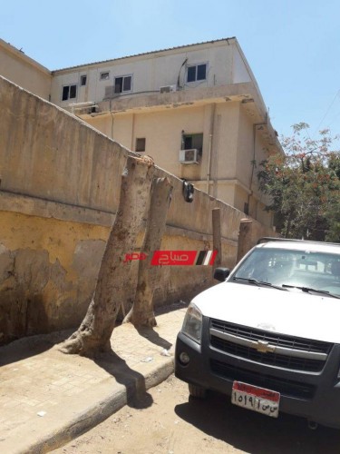 مستشفى عام تقطع الأشجار حول السور بحي العامرية في الإسكندرية