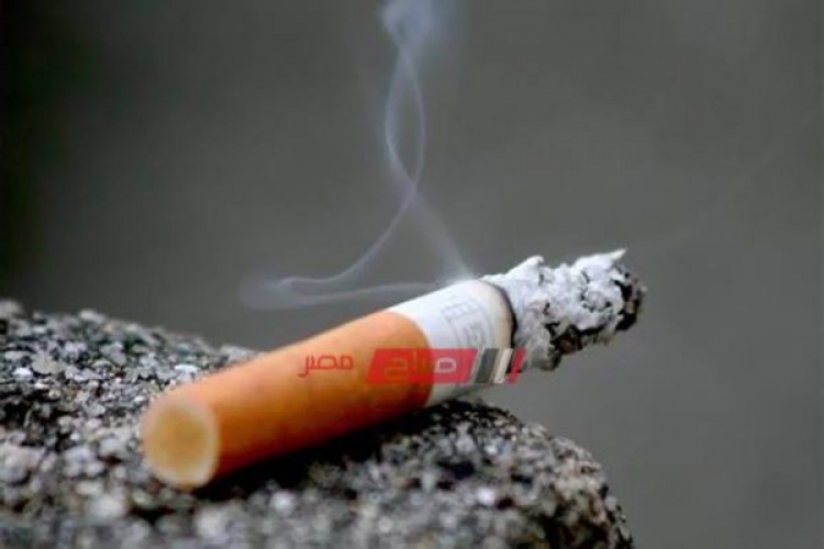 أسعار السجائر بكل أنواعها اليوم الجمعة 22-11-2019 في أسواق محافظات مصر