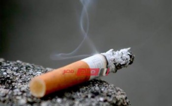 كل أسعار السجائر اليوم الجمعة 31-1-2020 في اسواق مصر