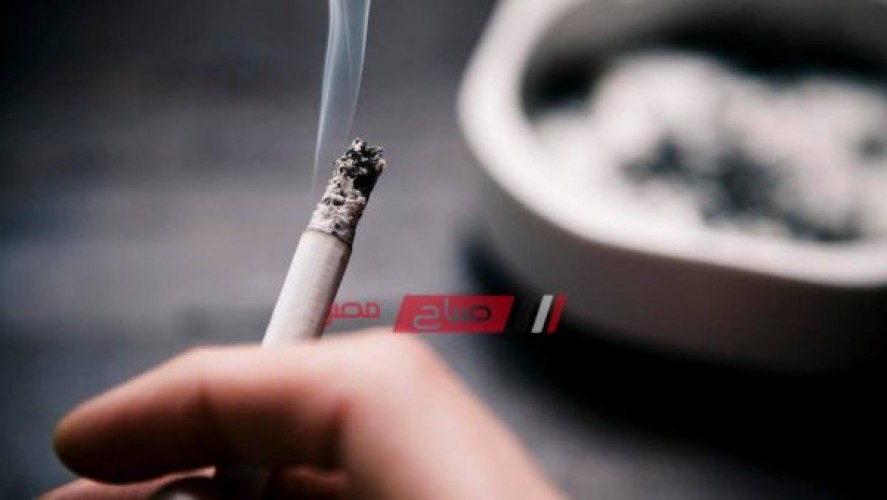 أسعار السجائر اليوم الخميس 28-11-2019 بكافة أنواعها في أسواق المحافظات المصرية