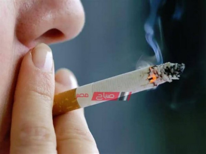 أسعار السجائر الجديدة اليوم الجمعة 3-1-2020 في مصر