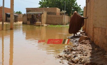 وفاة 57 شخصا وإصابة الكثيرين نتيجة الفيضانات في النيجر
