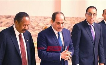 الحكومة تسعى لتحقيق الربط الكهربائى بين مصر والسودان