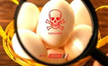 أكتشف  أضرار البيض والمخاطر الناتجة عن تناوله بكثرة