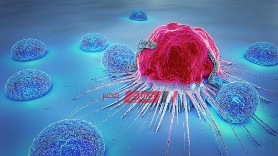 أعراض الإصابة بالسرطان و الوقاية منه وطرق تحصين الجهاز المناعي
