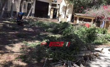 شن حملة مكبرة لقطع وتهذيب اشجار كنيسة الملاك بدمياط