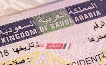 تعرف على مزايا التأشيرة الإلكترونية التى منحتها المملكة العربية السعودية
