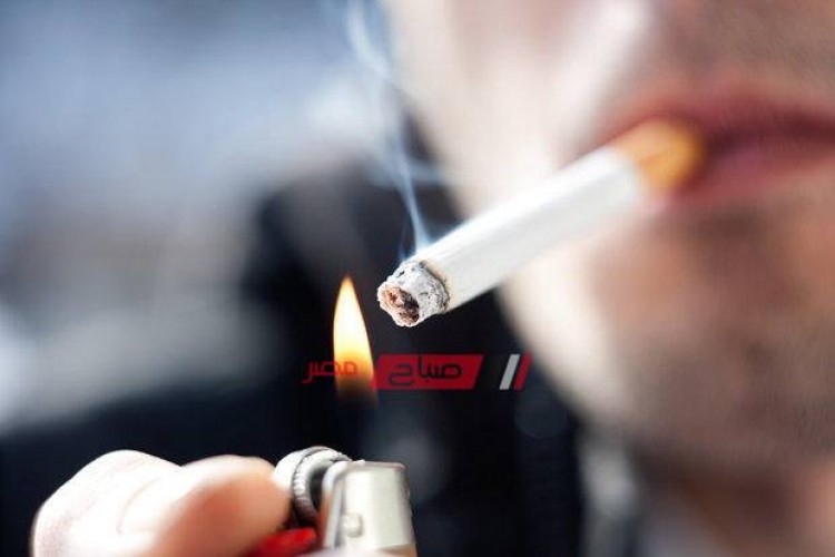 تعرف على أسعار السجائر اليوم الأحد 22-09-2019 بأسواق محافظات مصر