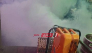 حملات مكبرة لمكافحة الحشرات بأحياء محافظة الإسكندرية