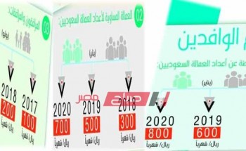 رسوم الجوازات ورسوم المرافقين 2021 …صباح مصر
