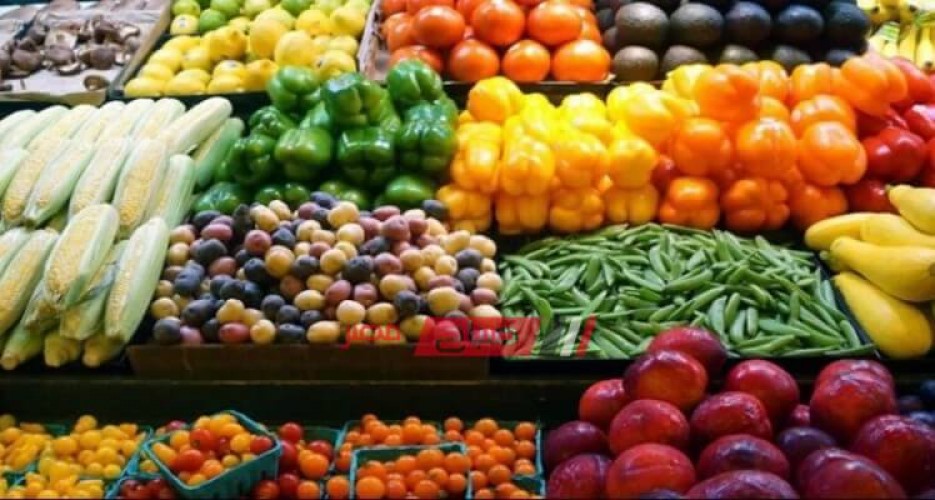 أسعار الخضروات بكافة أنواعه اليوم الخميس 12-09-2019 في الأسواق المصرية