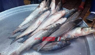 تفاصيل أسعار الأسماك بالكيلو اليوم الأحد 10-4-2022  .. 9 رمضان بالاسواق المصرية